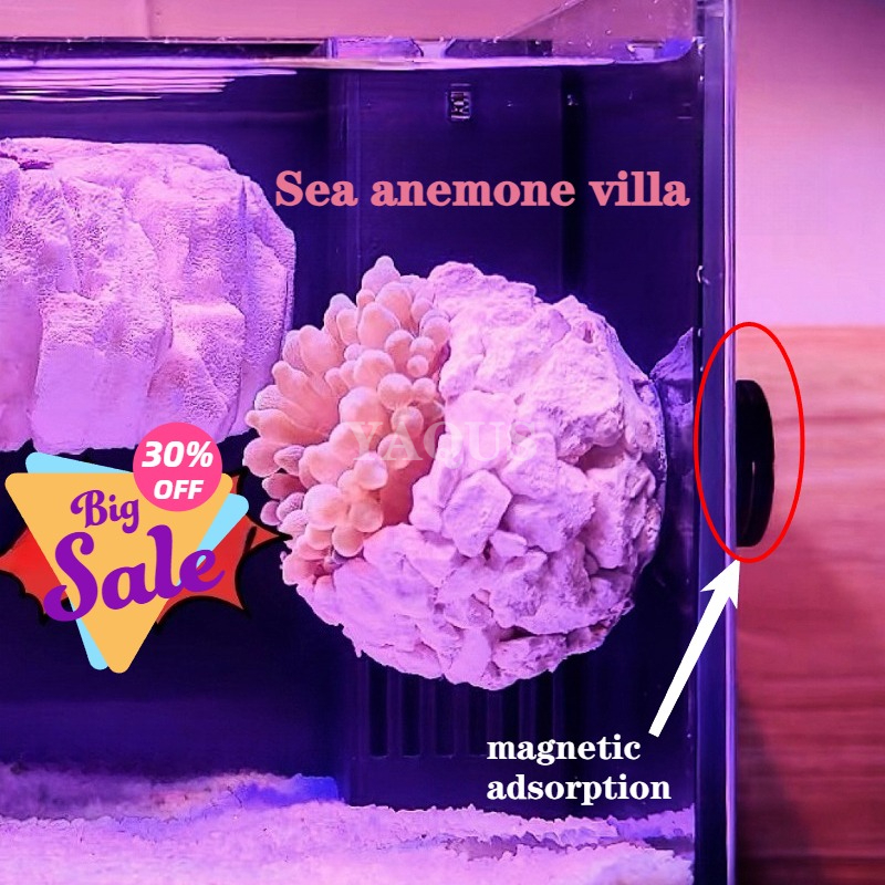 Coral Frag Plug - New DIY Handmade Floating Magnetic Sunflower