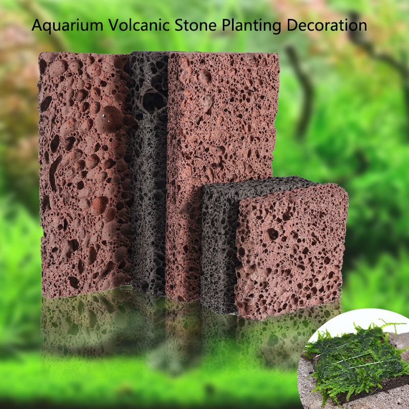 Coral Frag Plug - Volcanic Aquarium Decoration Fish Tank Plant