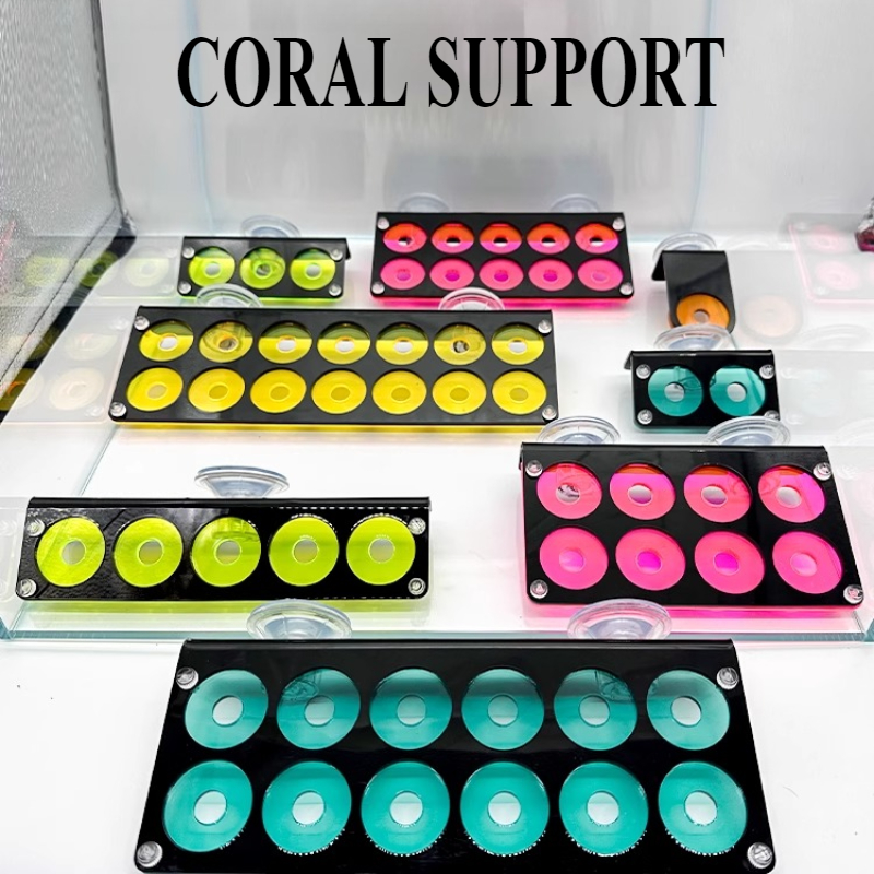 Coral Frag Plug - Acrylic Fluorescence SPS Coral Frag Bracket