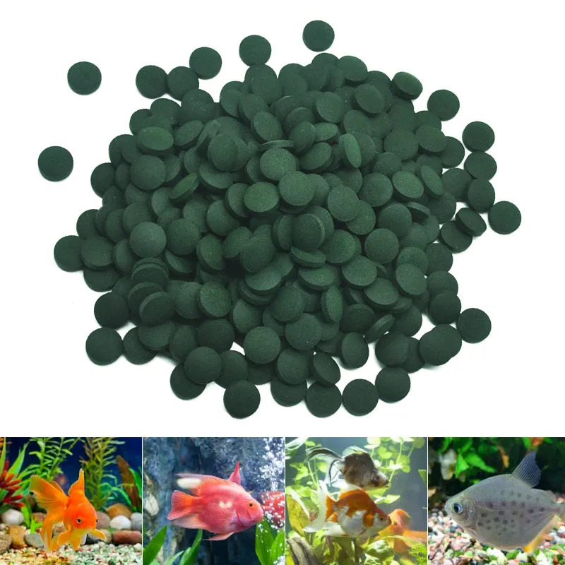 100-3000pc High Purity Spiruli - đánh giá và giá Marine Aquarium Bacteria