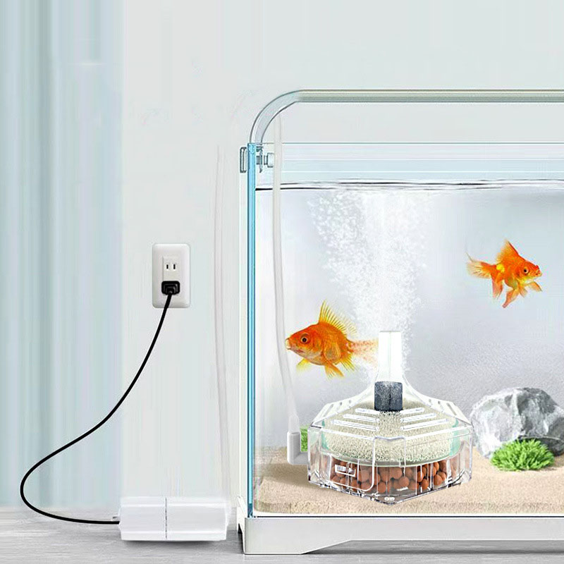 Super Thin Aquarium Fish Tank  - đánh giá và giá Marine Aquarium Bacteria