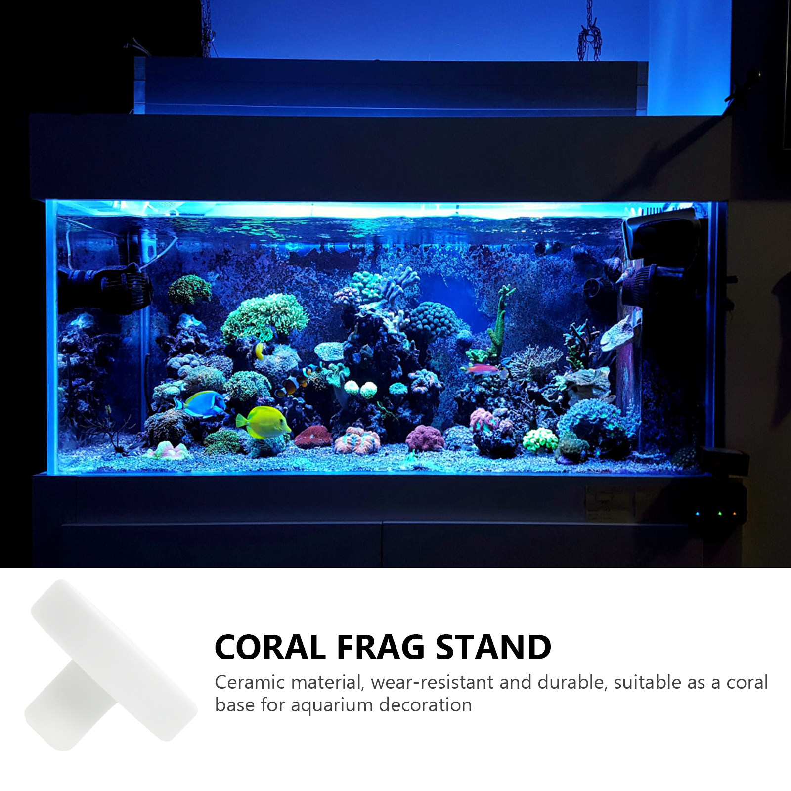 10Pcs Coral Frag Base Ceramic  - đánh giá và giá Coral Frag Plug