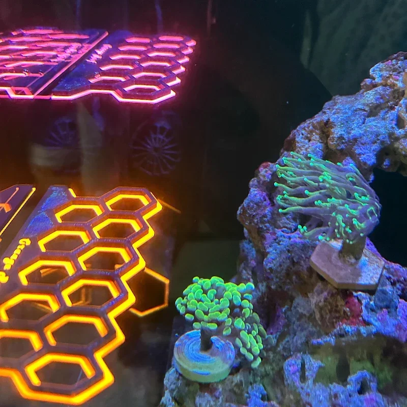 Aquarium Fluorescent Magnetic  - đánh giá và giá Coral Frag Plug