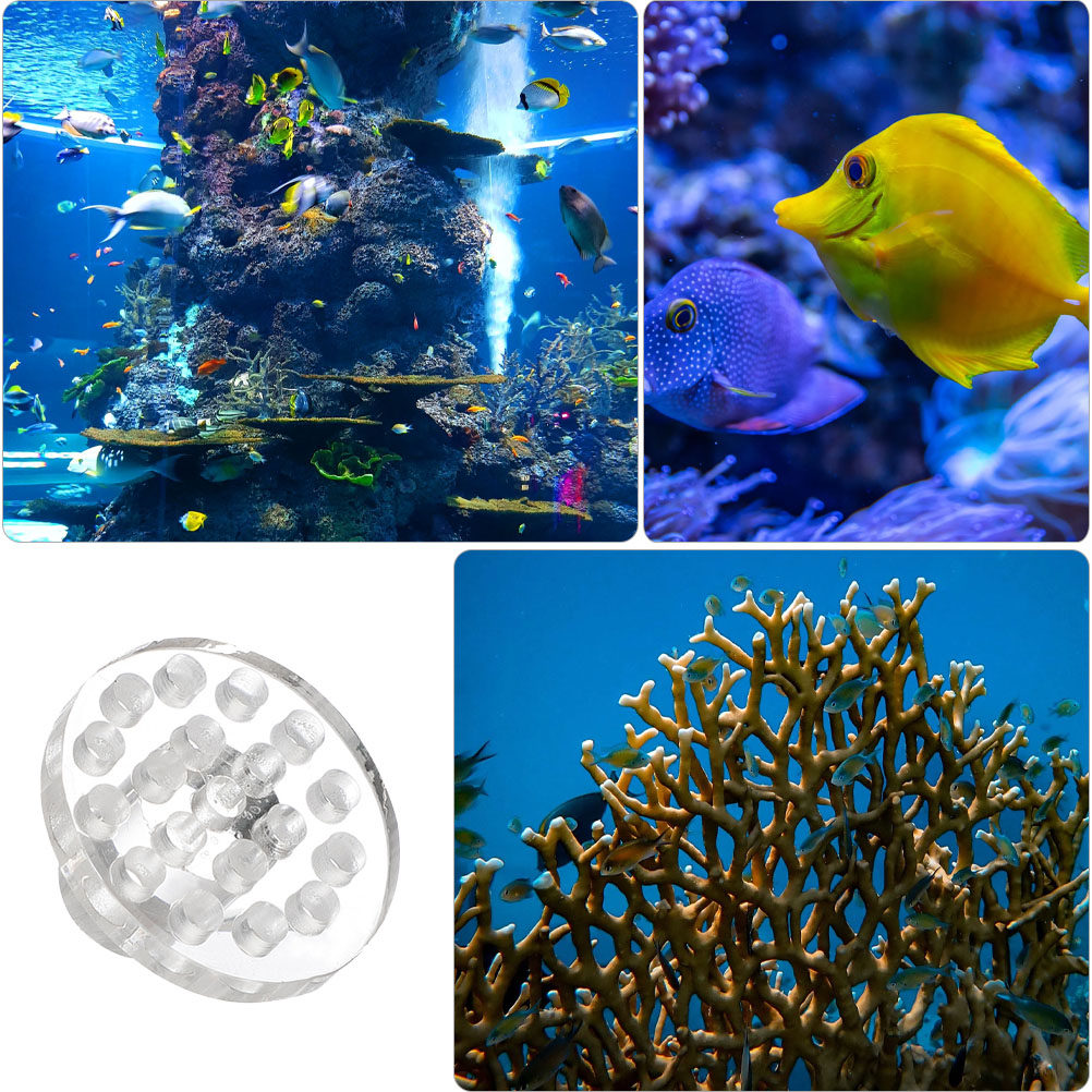 10Pcs Acrylic Coral Frag Rack  - đánh giá và giá Marine Aquarium Reef