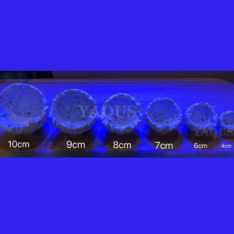New DIY Handmade Floating Magn - đánh giá và giá Coral Frag Plug