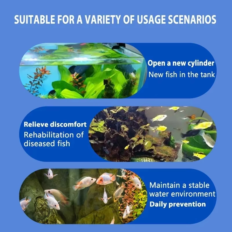 SIKEZHAN Fish Disease Treatmen - đánh giá và giá Marine Aquarium Bacteria