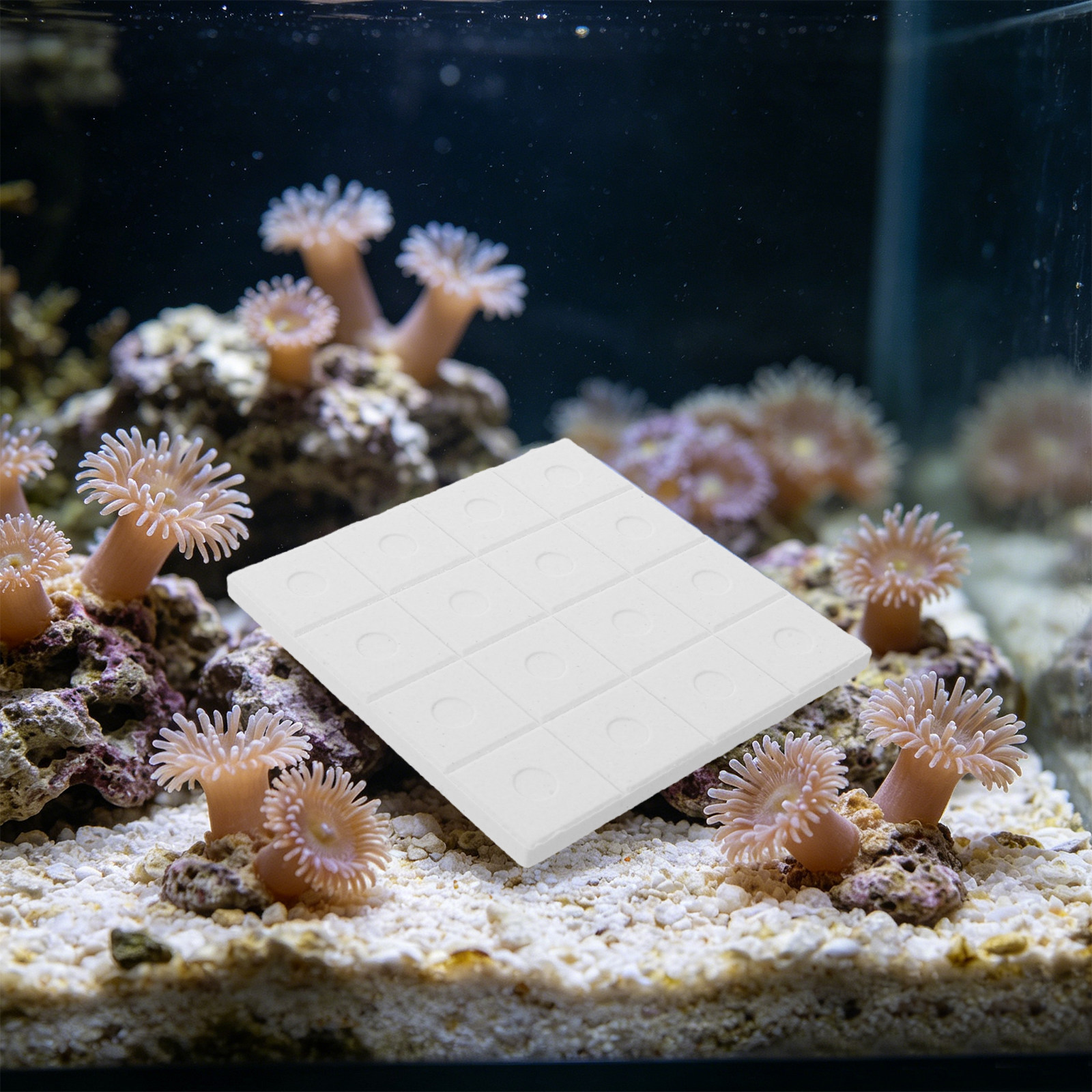 The of Coral Reproduction Aqua - đánh giá và giá Coral Frag Plug