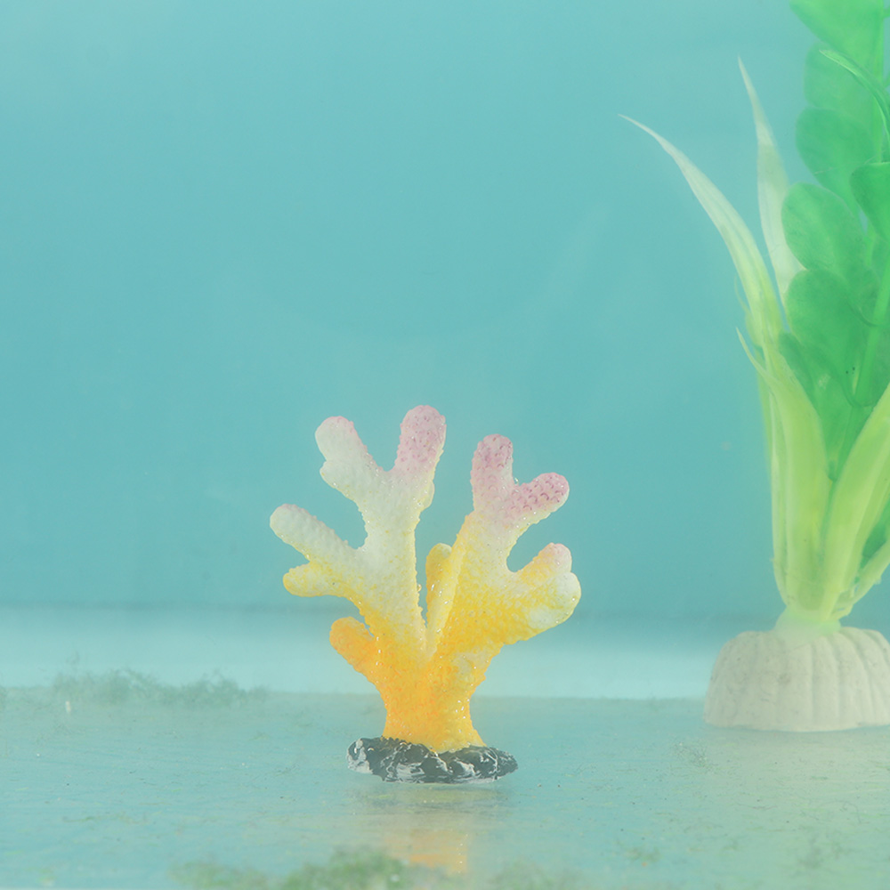 San Hô Nhân Tạo Cá Đồ Trang Tr - đánh giá và giá Marine Aquarium Reef