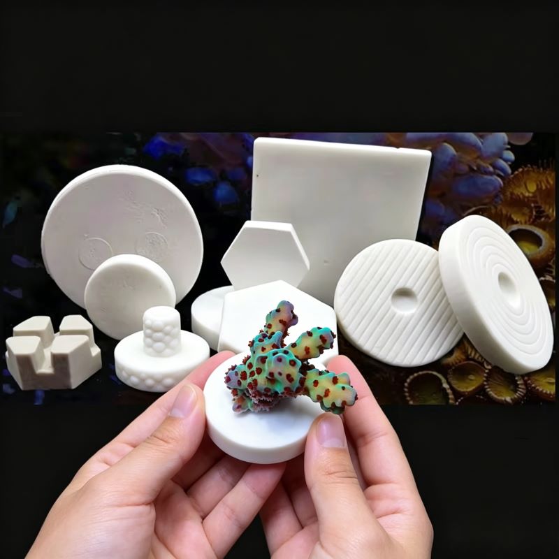 SPS Ceramic Coral Frag Plugs B - đánh giá và giá Coral Frag Plug