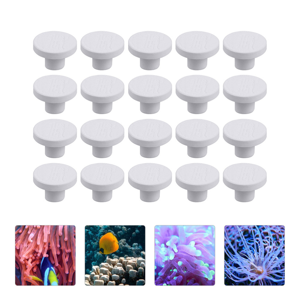 SPS Ceramic Coral Frag Plugs B - đánh giá và giá Coral Frag Plug