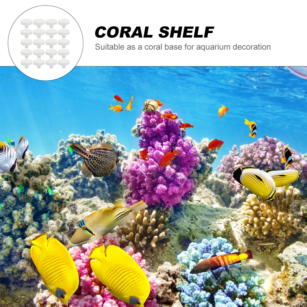 20Pcs Coral Glue Reef Safe Cor - đánh giá và giá Coral Frag Plug