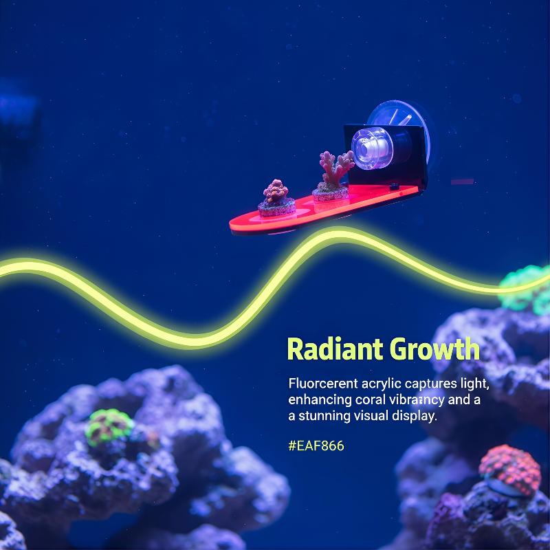 Acrylic Coral Frag Bracket 1Pc - đánh giá và giá Coral Frag Plug