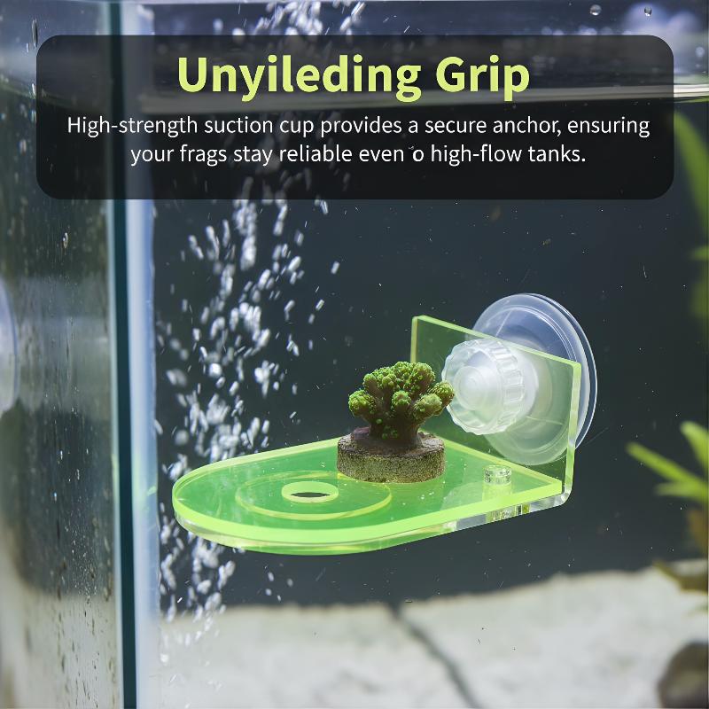 Acrylic Coral Frag Bracket 1Pc - đánh giá và giá Coral Frag Plug