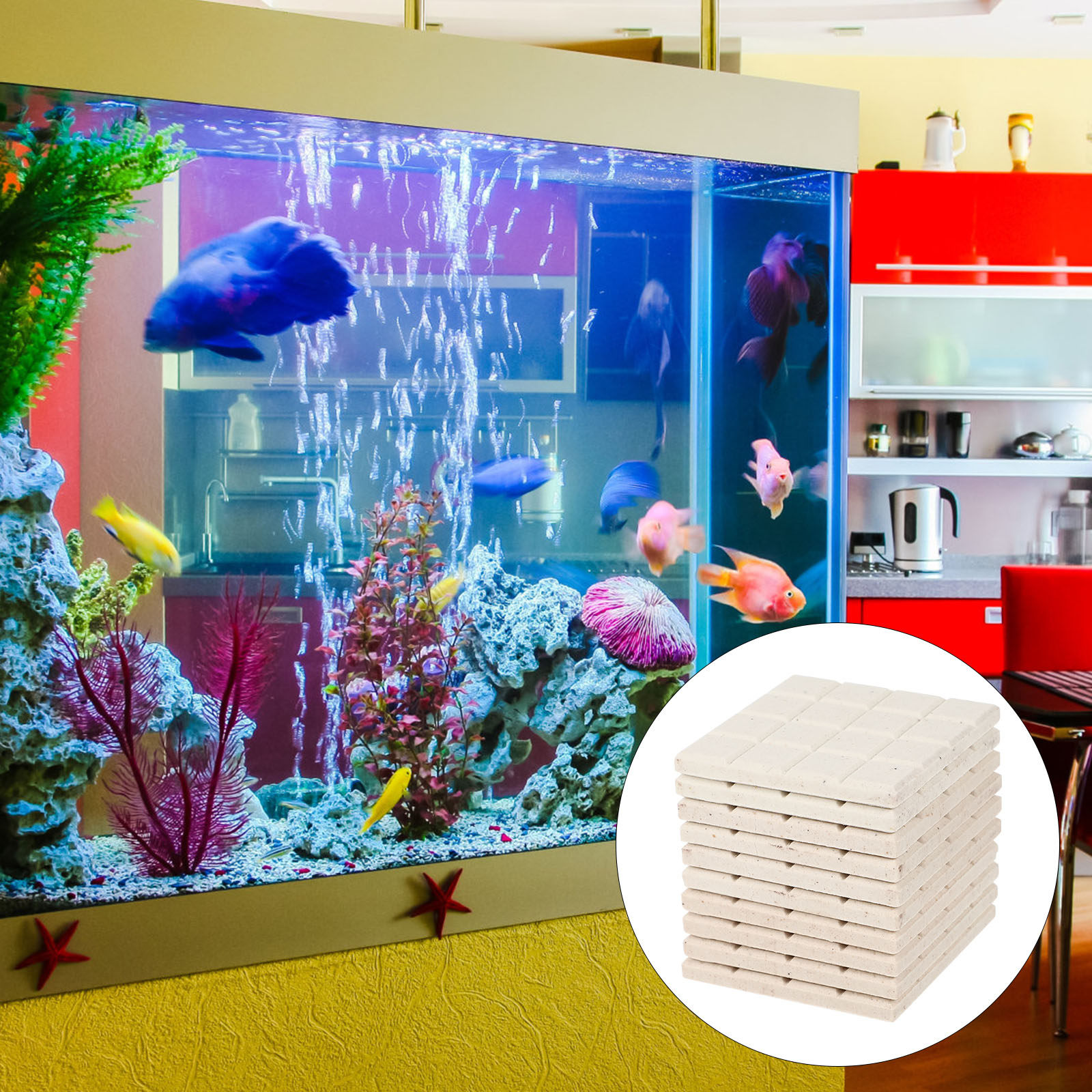 10Pcs Aquarium Coral Holder Ce - đánh giá và giá Coral Frag Plug