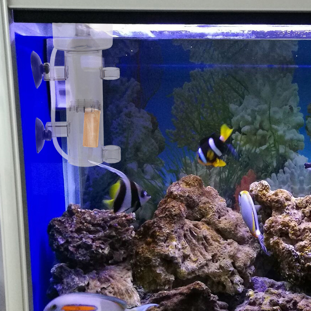 Protein Skimmer Internal Mini  - đánh giá và giá Marine Aquarium Reef