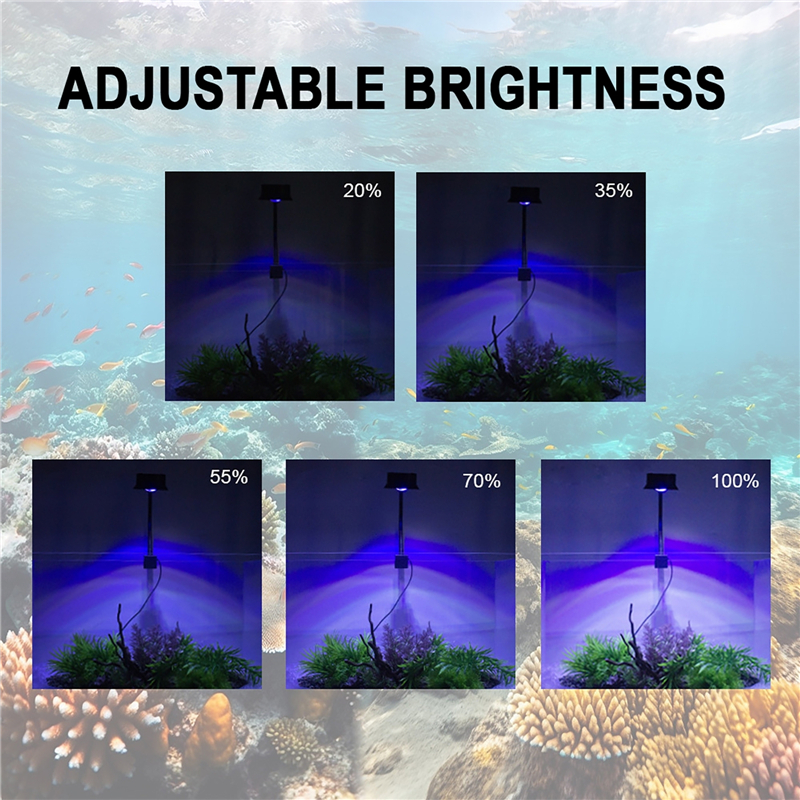30W Aquarium Fish Tank Sea Wat - đánh giá và giá Marine Aquarium Reef