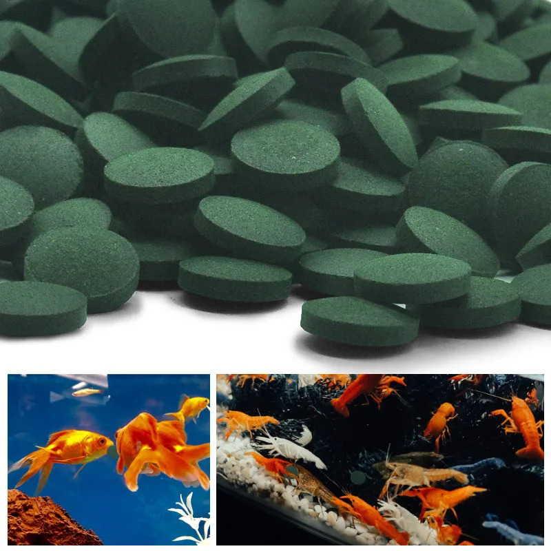 50-300Pcs High Purity Spirulin - đánh giá và giá Marine Aquarium Bacteria
