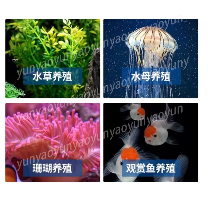 Small Aquarium Chiller Compres - đánh giá và giá Marine Aquarium Chiller