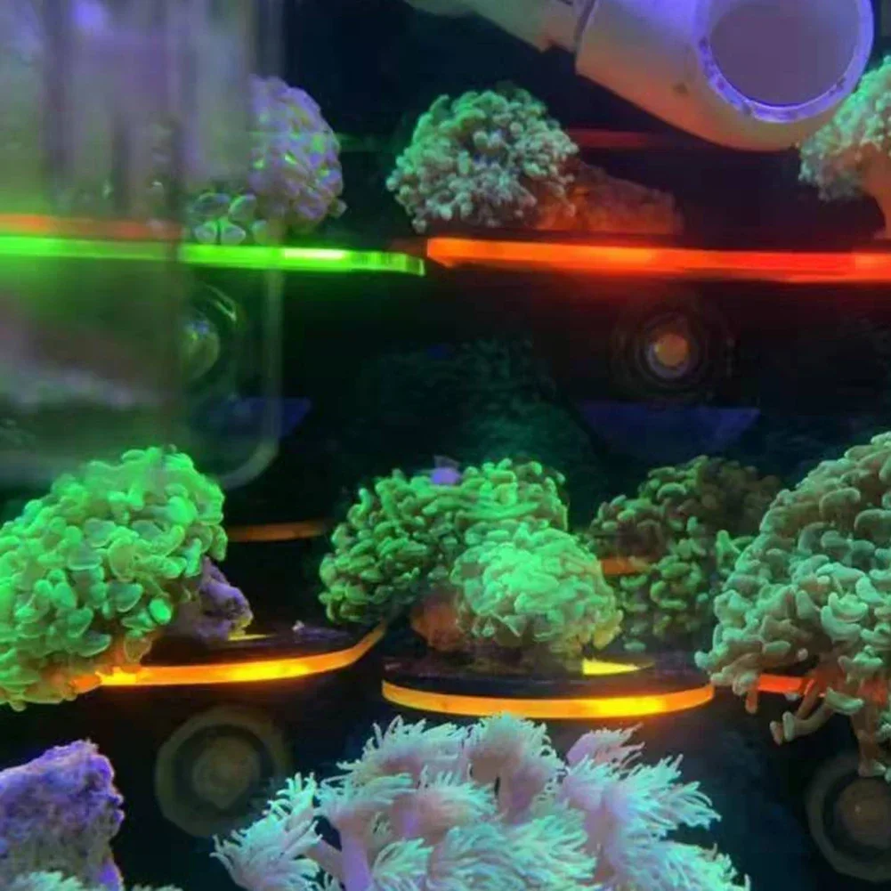 Fish Tank Acrylic Fluorescent  - đánh giá và giá Marine Aquarium Reef