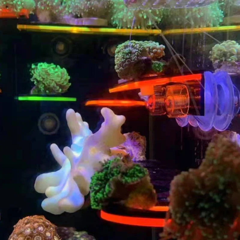 Fish Tank Acrylic Fluorescent  - đánh giá và giá Marine Aquarium Reef