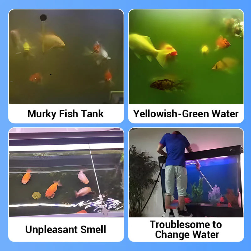 Eco-Friendly Aquarium Water Pu - đánh giá và giá Marine Aquarium Bacteria