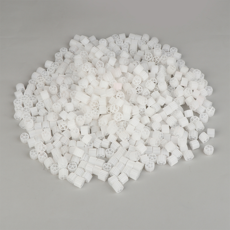 1Bag(150g) K1 Filter Media Bio - đánh giá và giá Marine Aquarium Bacteria