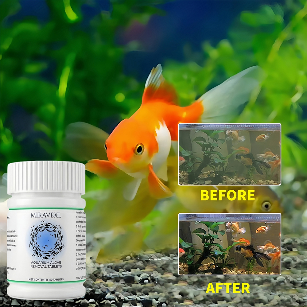MIRAVEXL Fish Tank Algae Remov - đánh giá và giá Marine Aquarium Bacteria